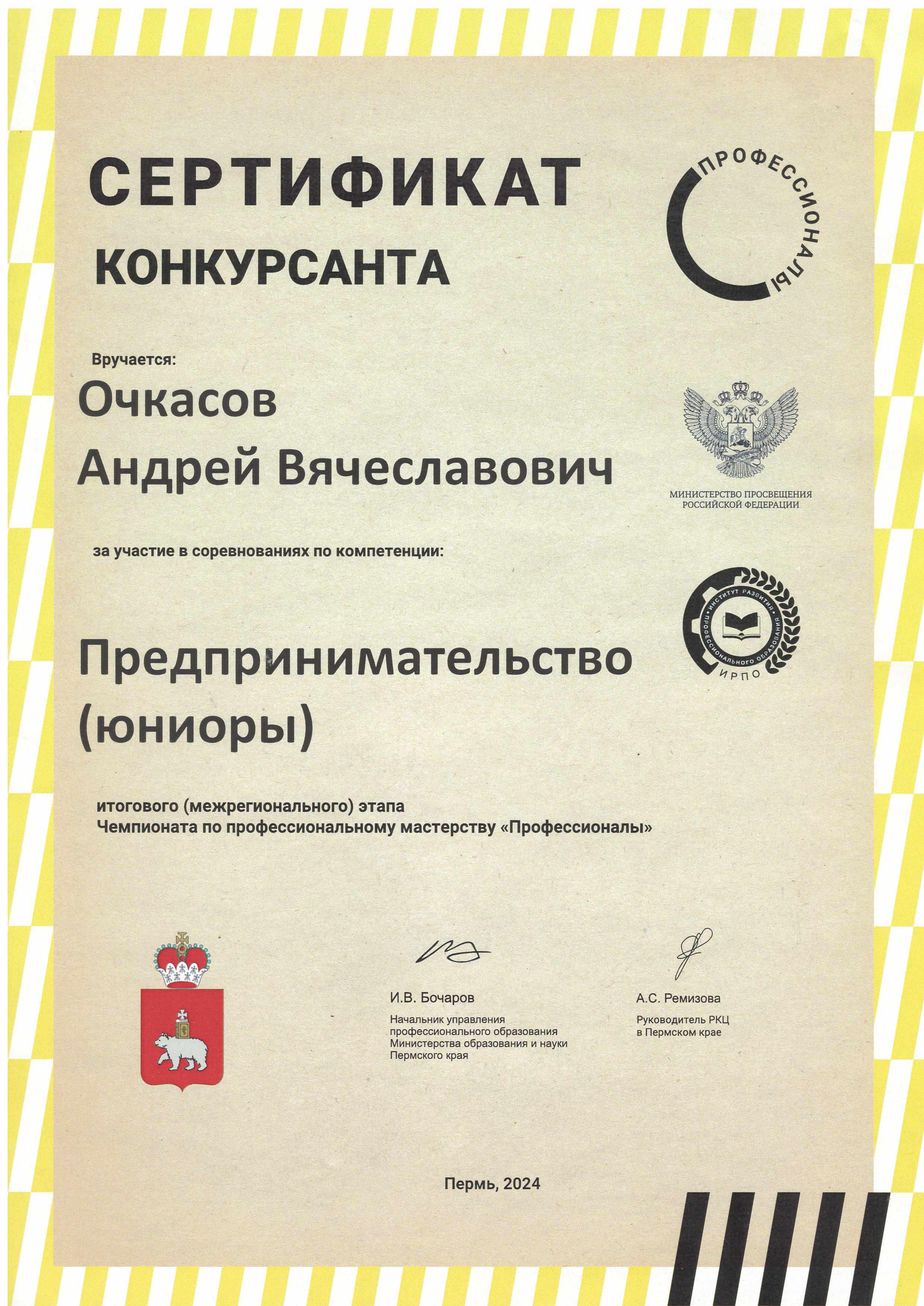 Профессионалы 0003